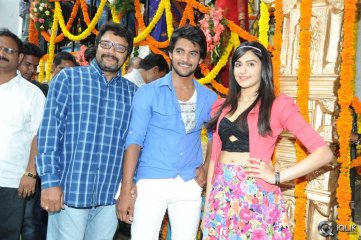 Garam Movie Opening Photos